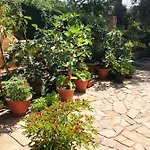 Apartman Mare Blu *