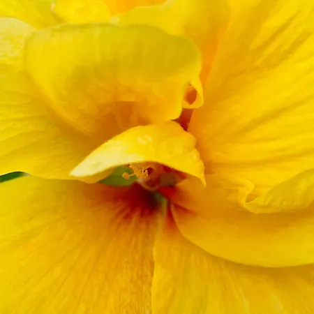 Mare Blu * Орозеи