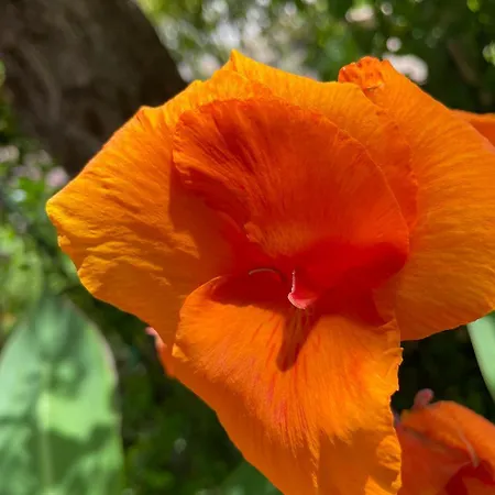 Appartement Mare Blu *