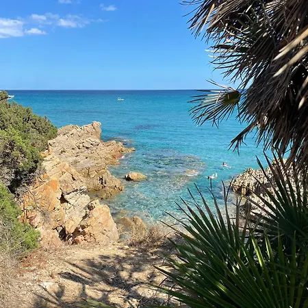 Mare Blu *