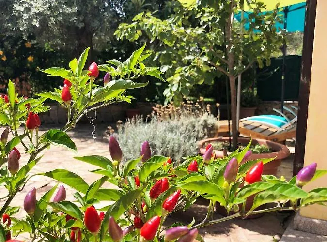 Daire Mare Blu Orosei